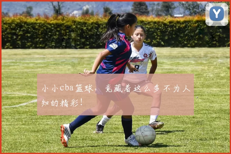 小小cba篮球，竟藏着这么多不为人知的精彩！