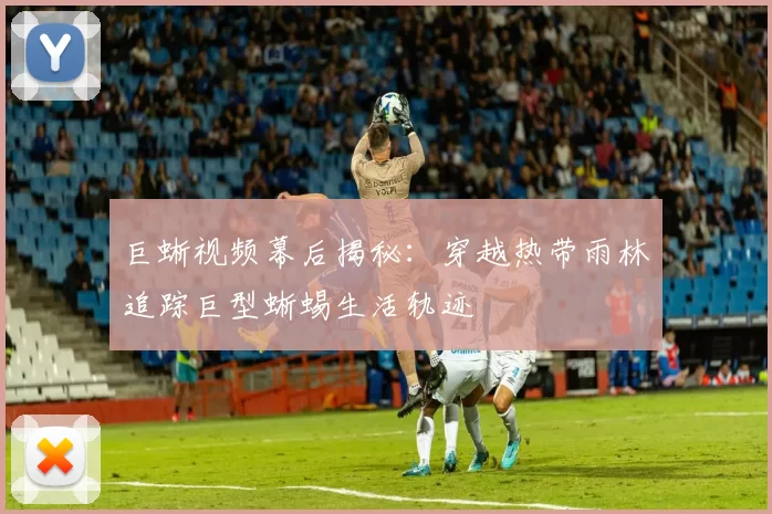 巨蜥视频幕后揭秘：穿越热带雨林追踪巨型蜥蜴生活轨迹