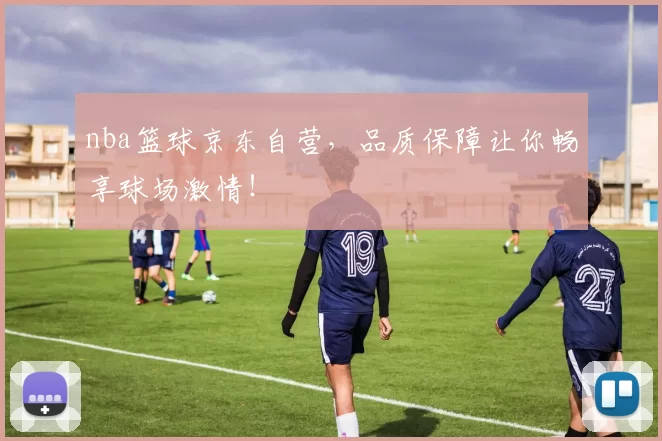 nba篮球京东自营，品质保障让你畅享球场激情！