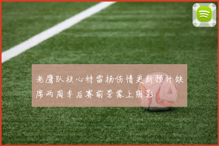 老鹰队核心特雷杨伤情更新预计缺席两周季后赛前景蒙上阴影