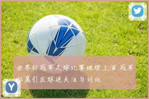 世界杯冠军足球比赛继续上演 冠军归属引发球迷关注与讨论