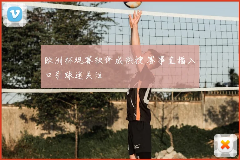 欧洲杯观赛软件成热搜 赛事直播入口引球迷关注